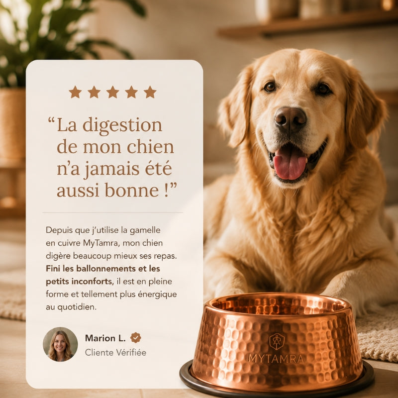 Gamelle en Cuivre Pur