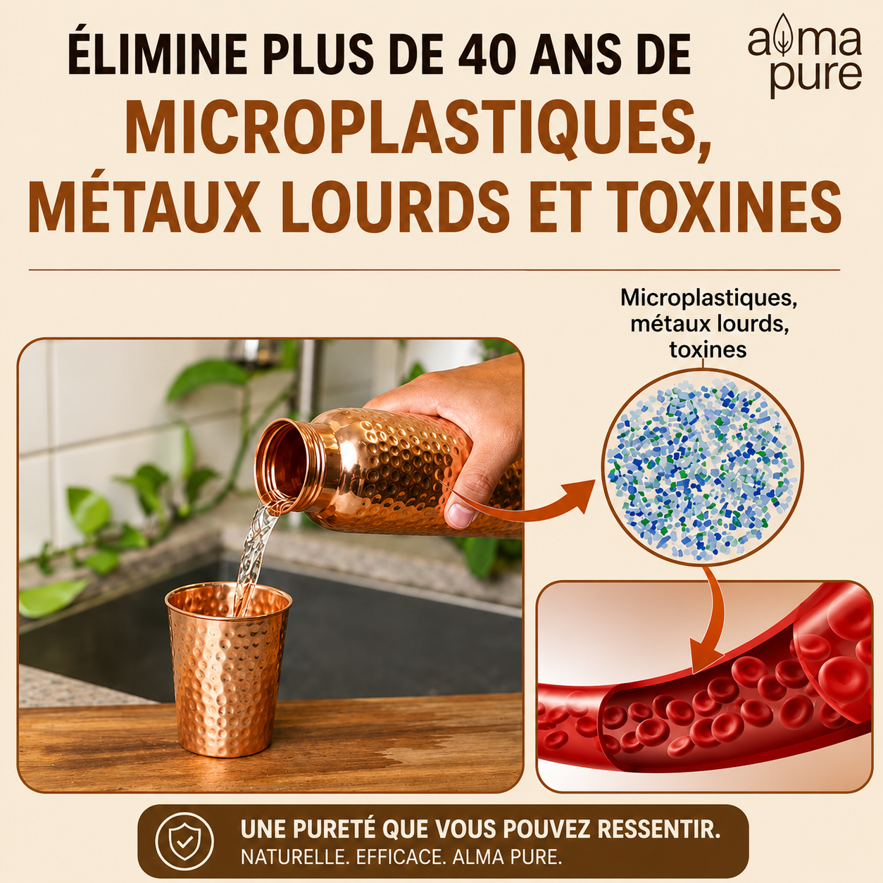 Élimine plus de 40 ans de microplastiques, métaux lourds et toxines