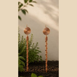 Lot de 2 antennes