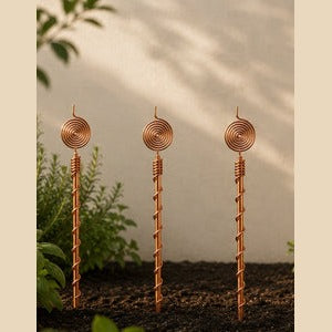 Lot de 3 antennes
